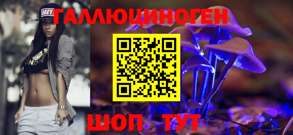 Псилоцибиновые грибы Cubensis Алексеевка