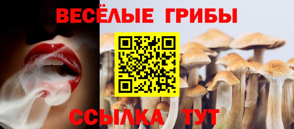 Псилоцибиновые грибы мухоморы  Вход с VPN  Псилоцибиновые грибы мицелий  Алексеевка 
