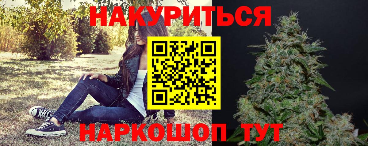 Бошки марихуана сатива Алексеевка